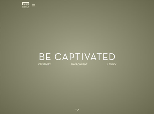 pearsondesigngroup.com